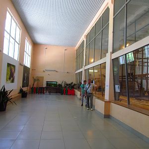 Primate house interior, monkey exhibits