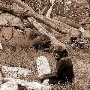 Prince Denny & Jessica