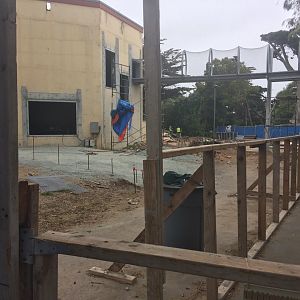 Chimp habitat expansion