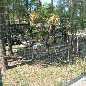 Riga Zoo - Wading bird aviary