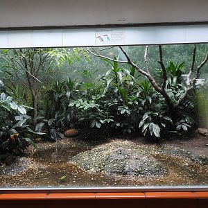 New Guam Kingfisher Enclosure