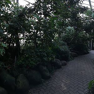 Toronto Zoo Americas Pavilion Indoor Aviary - YouTube