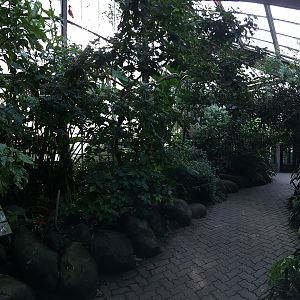 Americas Pavilion Aviary View 1