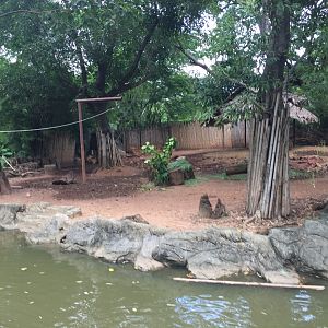 Siamese Eld’s Deer Exhibit
