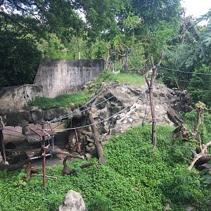 Chimpanzee Exhibit