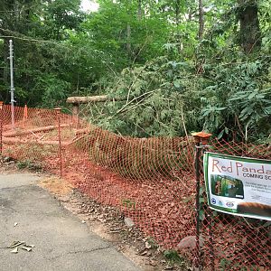 Red Panda Construction