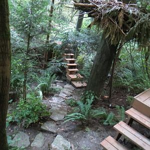Great Northwest - Bald Eagle Exhibit