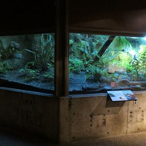 Great Northwest - Mixed Species Exhibit