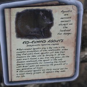 Red-Rumped Agouti Signage