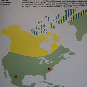 North American Wolf Distribution