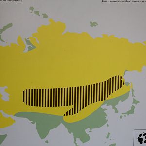 Eurasian Wolf Distribution