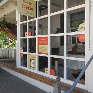 Great Northwest - Catio