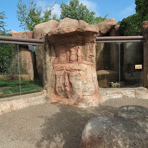 Oklahoma Trails - Swift Fox Exhibit