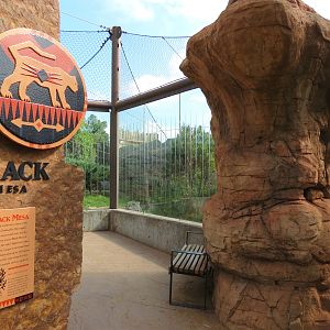 Oklahoma Trails - Bobcat and Cougar Exhibits' Viewing Area