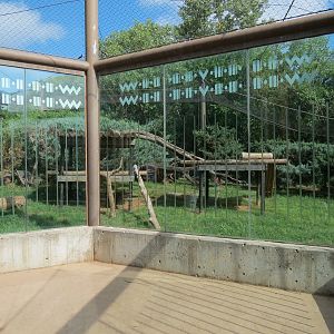 Oklahoma Trails - Cougar Exhibit Viewing Area