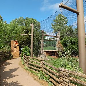 Oklahoma Trails - Cougar Exhibit