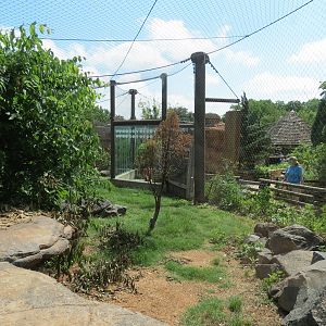 Oklahoma Trails - Cougar Exhibit