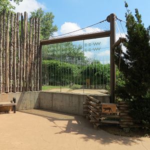 Oklahoma Trails - Cougar Exhibit Viewing Area