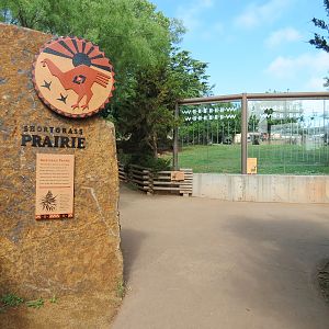 Oklahoma Trails - White-tailed Deer and Trumpeter Swan Exhibit Viewing Area
