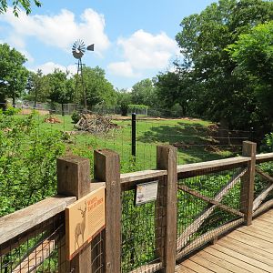 Oklahoma Trails - White-tailed Deer and Trumpeter Swan Exhibit Viewing Path
