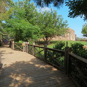 Oklahoma Trails - White-tailed Deer and Trumpeter Swan Exhibit Viewing Path
