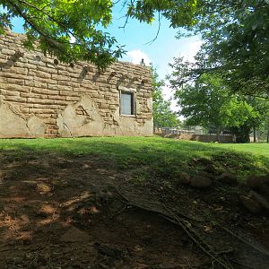 Oklahoma Trails - White-tailed Deer and Trumpeter Swan Exhibit
