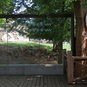 Oklahoma Trails - White-tailed Deer and Trumpeter Swan Exhibit Viewing Area