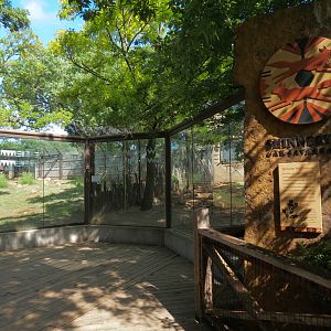 Oklahoma Trails - White-tailed Deer and Trumpeter Swan Exhibit Viewing Area