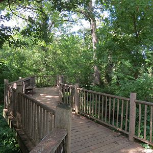 Oklahoma Trails - Sandhill Crane Exhibit Viewing Path