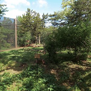 Oklahoma Trails - Sandhill Crane Exhibit