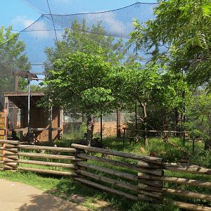 Oklahoma Trails - Aviary Interior and Turkey Vulture Exhibit