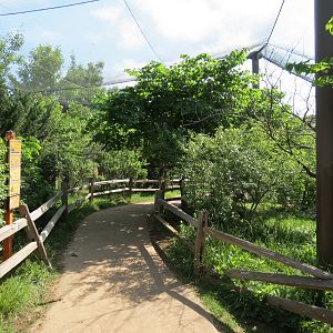 Oklahoma Trails - Aviary Interior