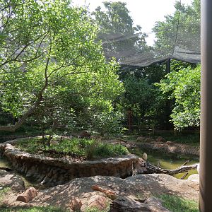 Oklahoma Trails - Aviary Interior