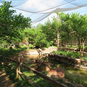 Oklahoma Trails - Aviary Interior
