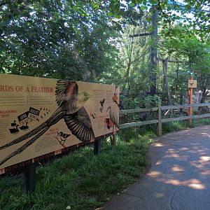 Oklahoma Trails - Aviary Interior