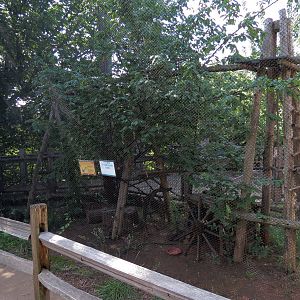 Oklahoma Trails - Greater Roadrunner Exhibit