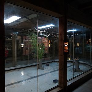 Oklahoma Trails - Creatures of the Night  - Insectivorous Bat Exhibit