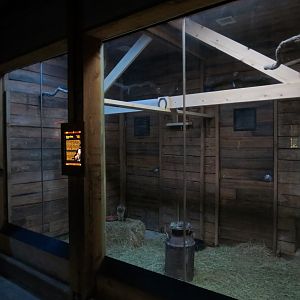 Oklahoma Trails - Creatures of the Night  - Barn Owl Exhibit