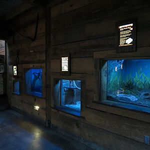 Oklahoma Trails - Creatures of the Night - Multiple Exhibits