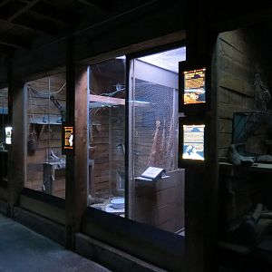 Oklahoma Trails - Creatures of the Night - Multiple Exhibits