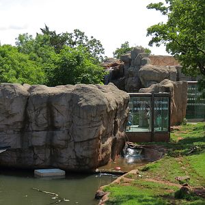 Oklahoma Trails - Grizzly Bear Exhibit