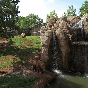 Oklahoma Trails - Grizzly Bear Exhibit