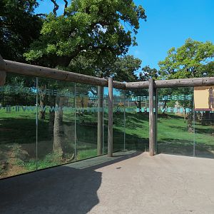 Oklahoma Trails - Grizzly Bear Exhibit Viewing Area