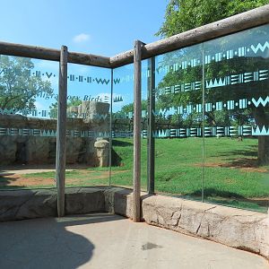 Oklahoma Trails - Grizzly Bear Exhibit Viewing Area