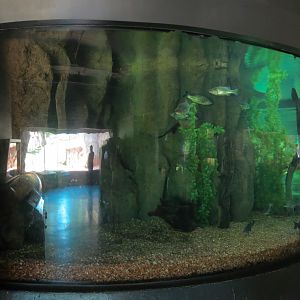 Oklahoma Trails - Big Rivers - Large Aquarium