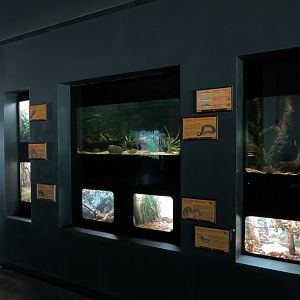 Oklahoma Trails - Big Rivers - Wall Terrariums