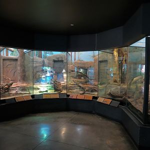 Oklahoma Trails - Big Rivers - Reptile Exhibits