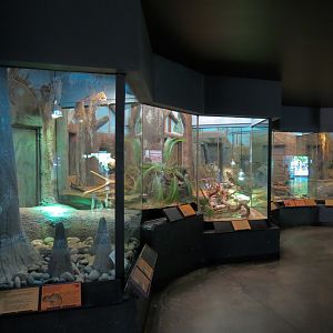 Oklahoma Trails - Big Rivers - Reptile Exhibits