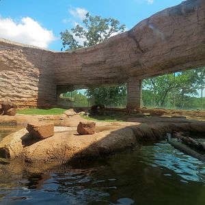 Oklahoma Trails - Big Rivers - American River Otter Exhibit