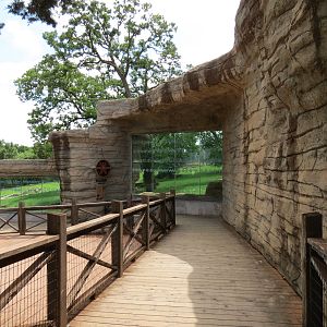 Oklahoma Trails - American Black Bear Exhibit Viewing Area